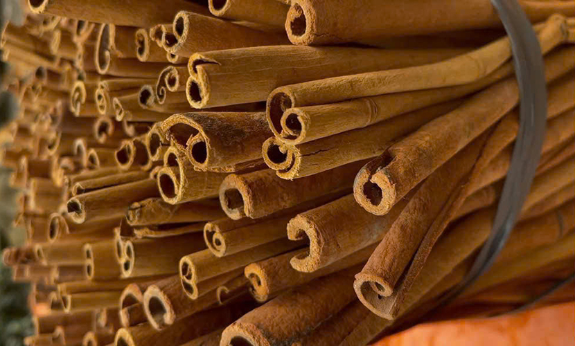 Vietnamese cinnamon sticks