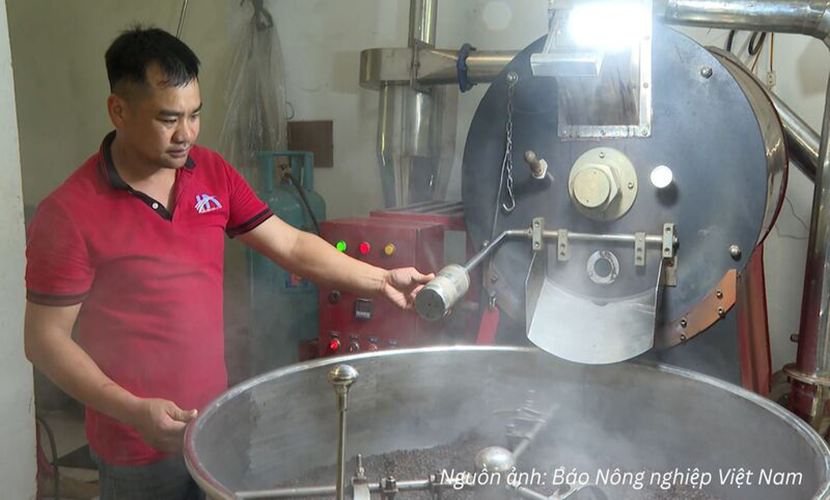 Vietnamese coffee processing