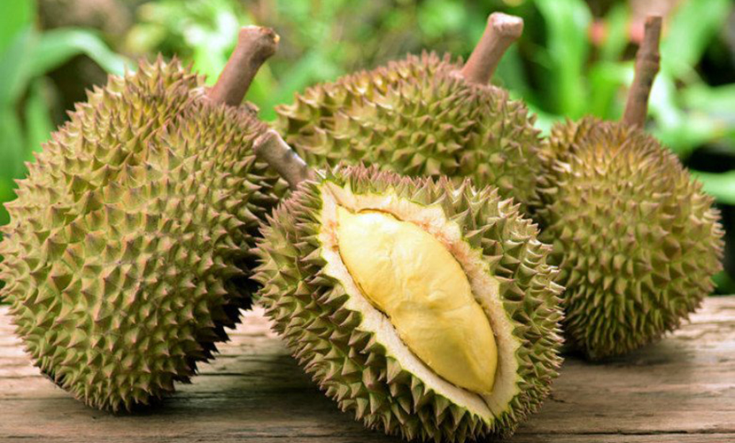 Vietnamese durian exports