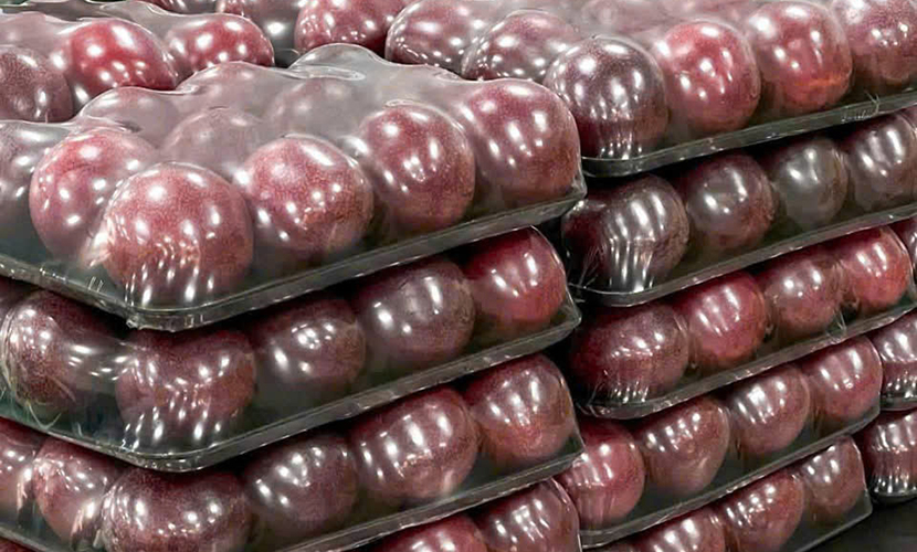Vietnamese exported passion fruits