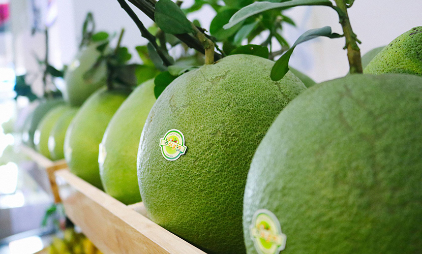 Vietnamese grapefruit exports