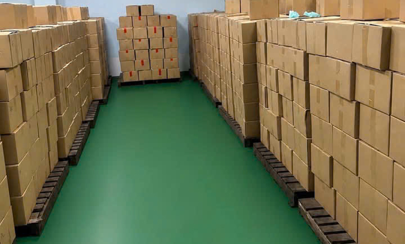 Vietnamese mango exports