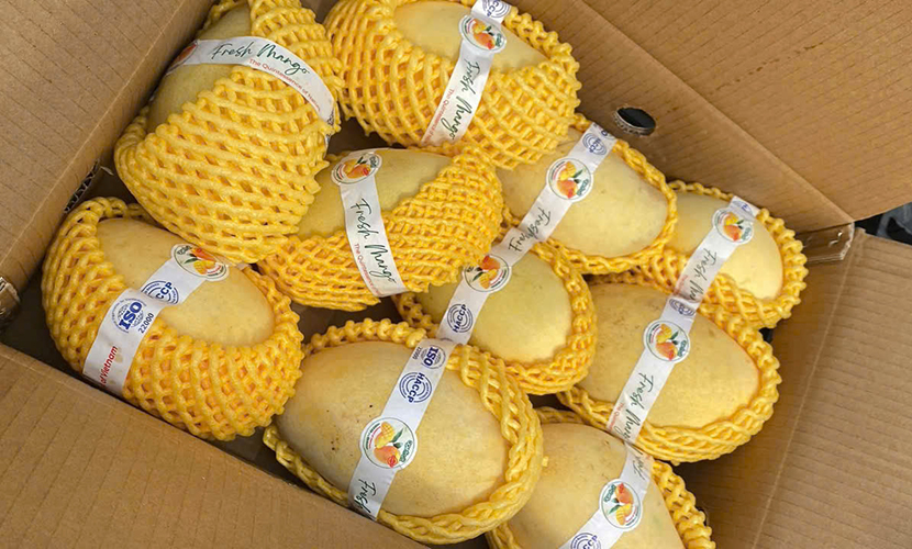 Vietnamese mango for exports