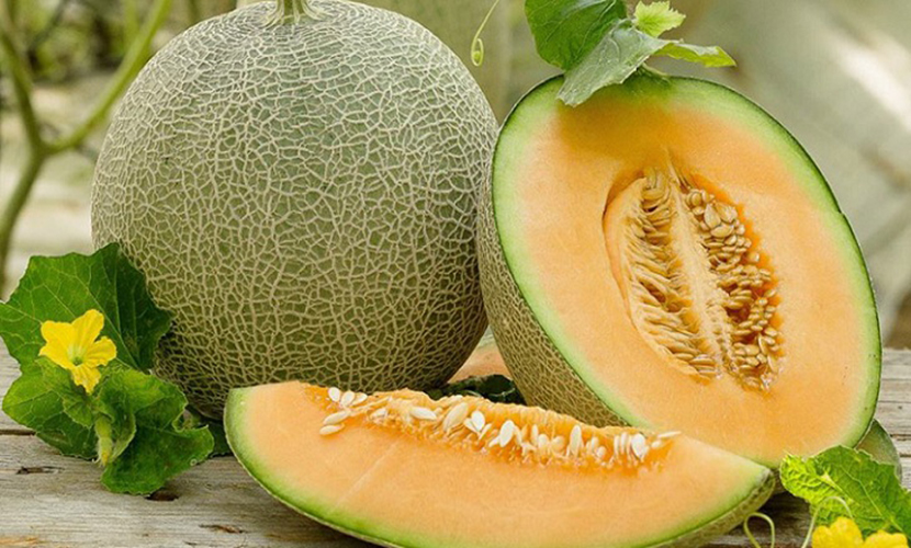 Vietnamese melon