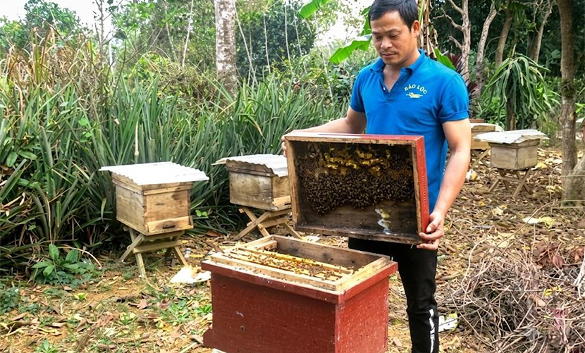 Vietnamese natural honey production