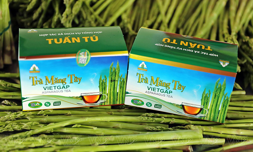 Vietnamese organic asparagus