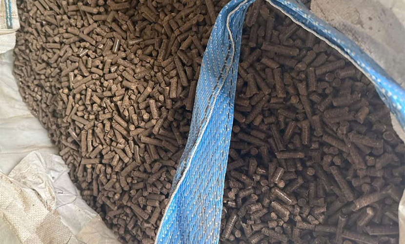 Vietnamese pellet exports
