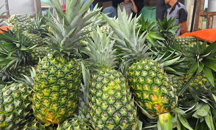 Vietnamese pineapples
