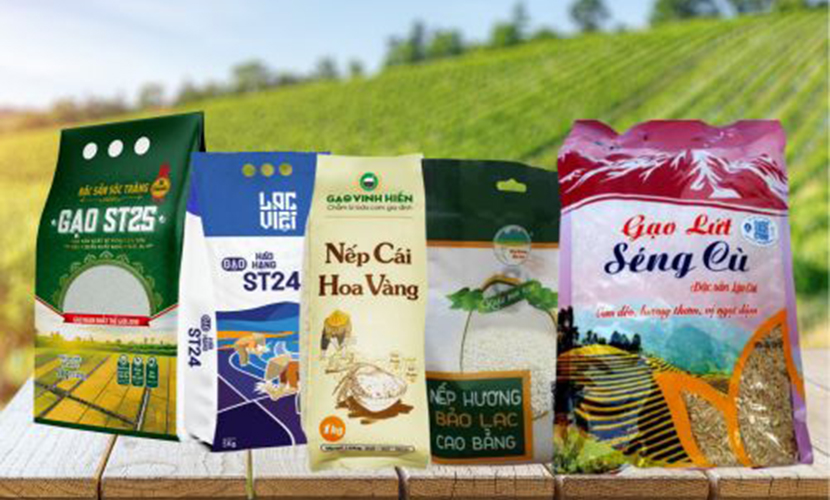 Vietnamese rice exports