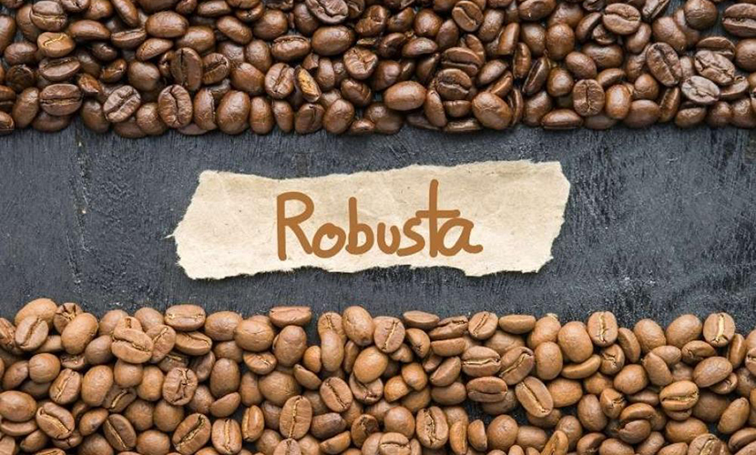 Robusta coffee from Vietnam