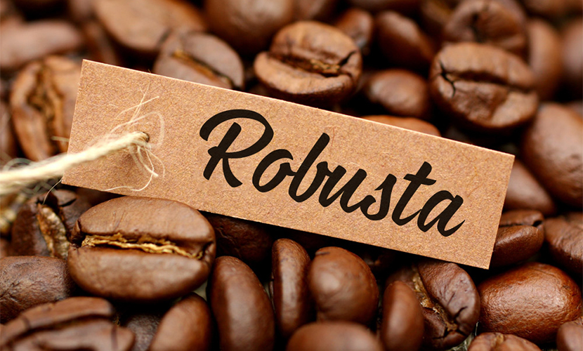 Vietnamese robusta coffee