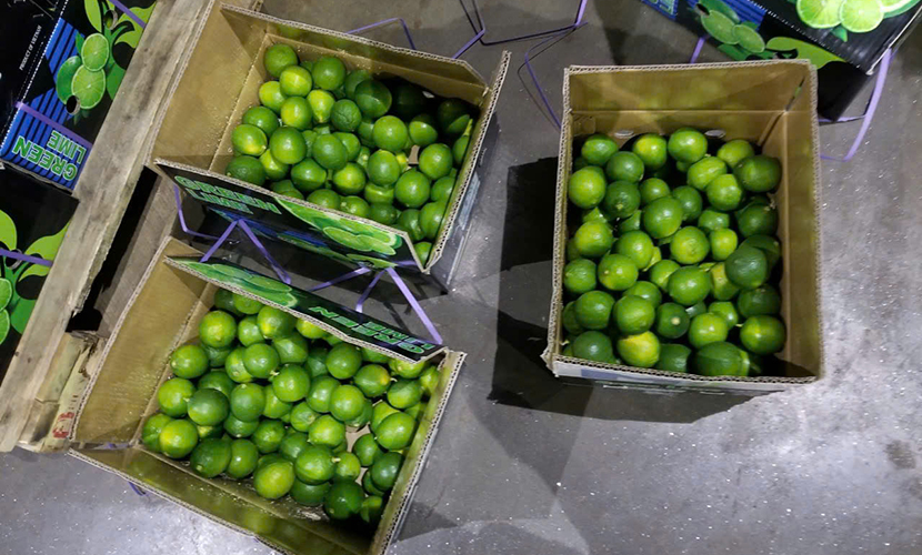 Vietnamese seedless lime exports