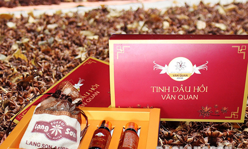 Vietnamese star anise essential oil