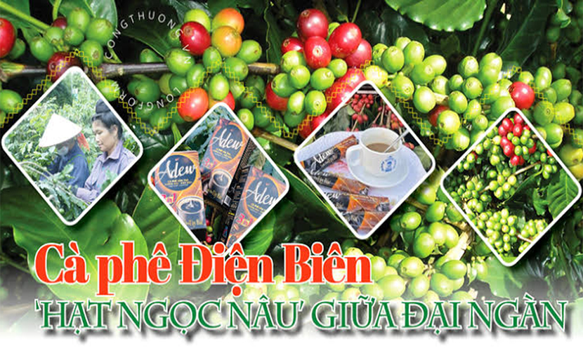 Vietnamese traditional coffee