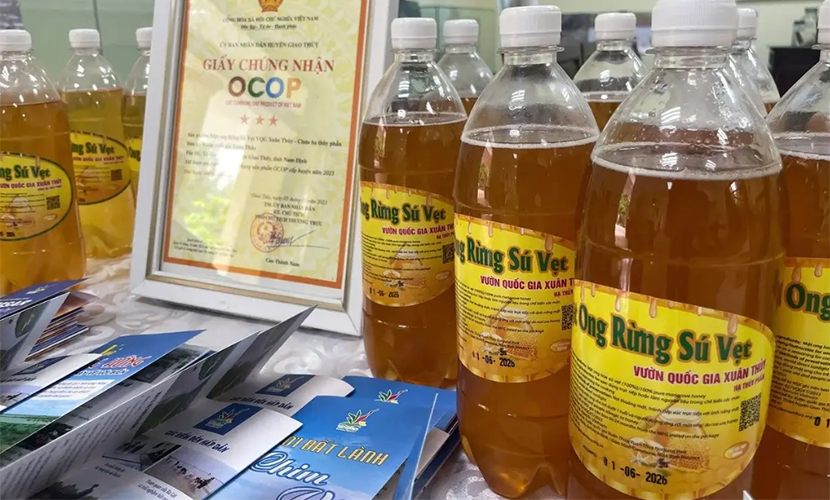 Vietnamese wild honey